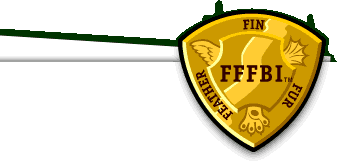 FFFBI badge