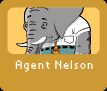 Agent Nelson