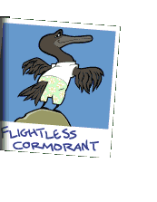 Picture of the flightless cormorant