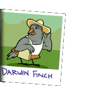 Picture of the Darwin finch